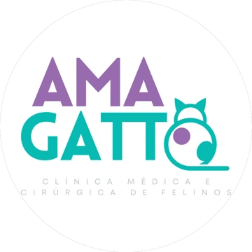 Ama Gatto