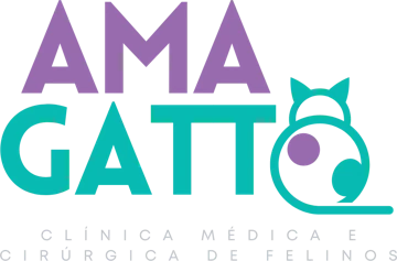Ama Gatto - Clínica Médica e Cirúrgica de Felinos